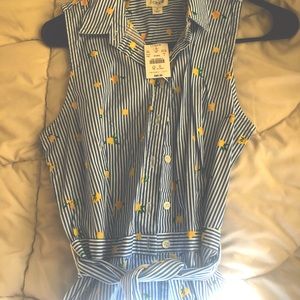 JCREW SLEEVELESS SHIRT DRESS